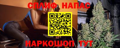 шишки Конаково